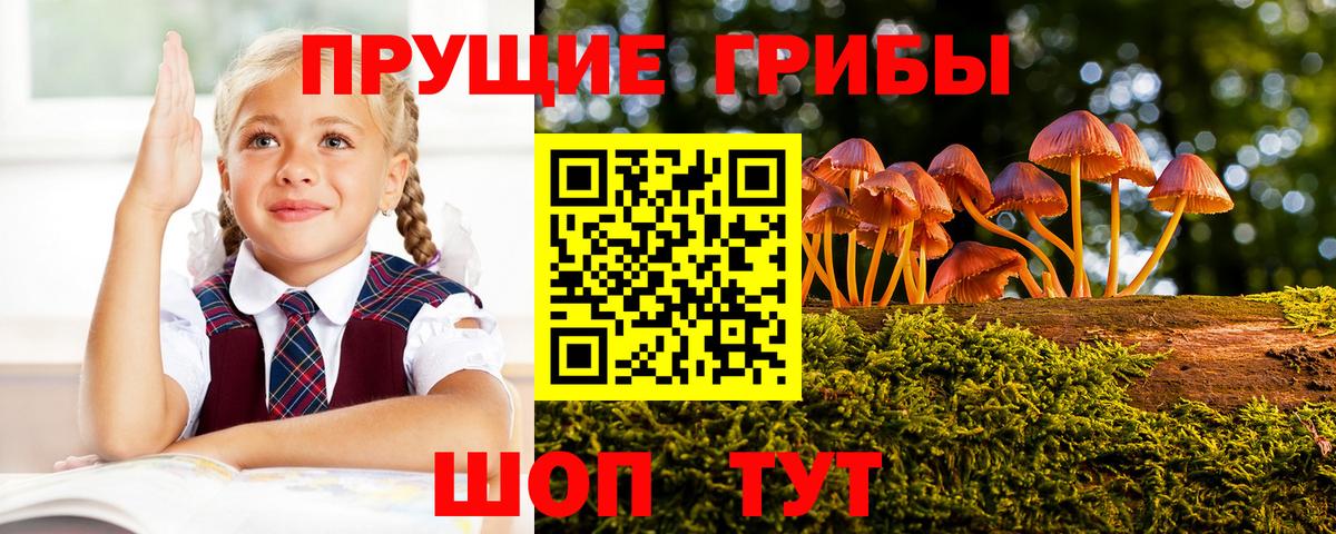 Псилоцибиновые грибы Psilocybe  Вход с VPN  Среднеуральск 