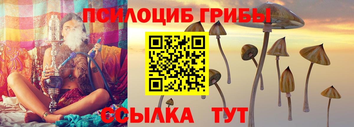 Галлюциногенные грибы Magic Shrooms Среднеуральск